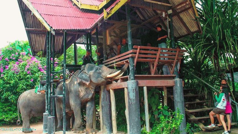 Elephant Village in Pattaya