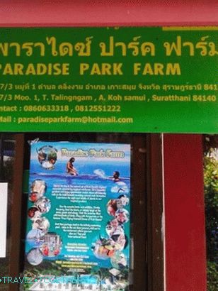 „Paradise