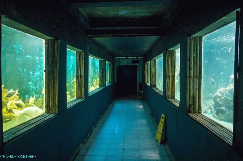 Aquarium and Tiger Zoo on Samui - smutné a drahé