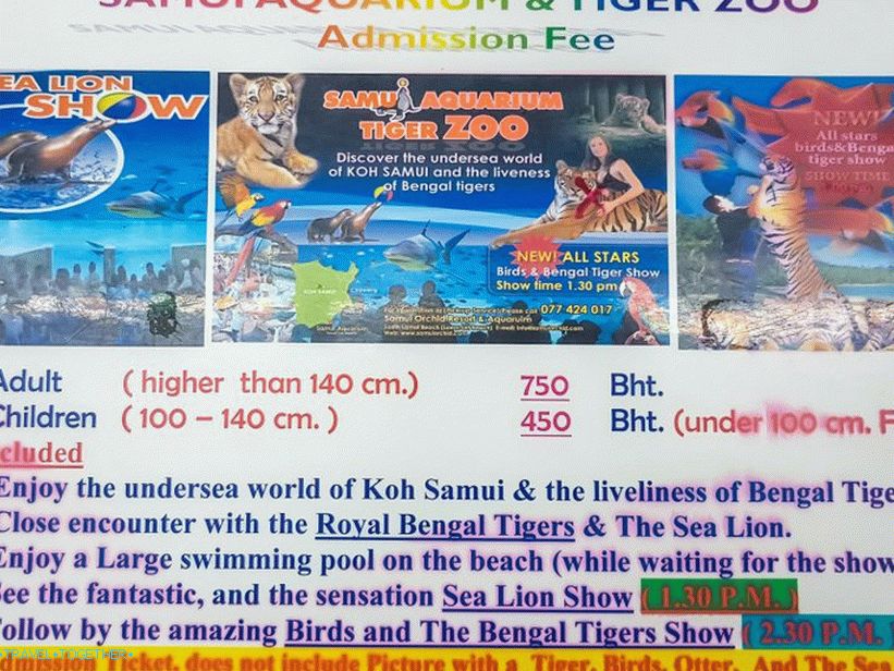 Aquarium and Tiger Zoo on Samui - smutné a drahé