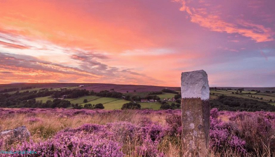 Nature of England