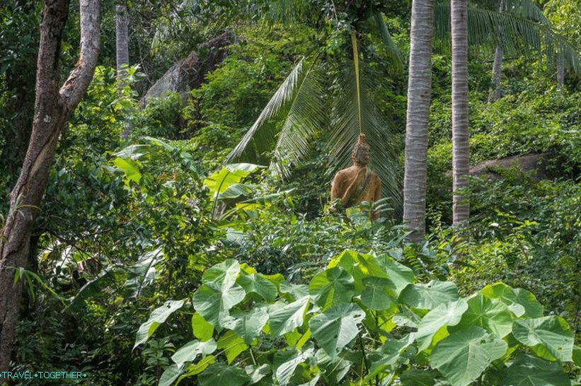 Samui Camp Bar - najlepší bod na Samui a hroznom Budhovi v lese