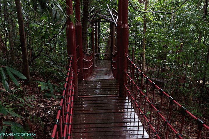 Park Bukit Nanas
