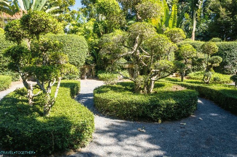 Botanická záhrada v Phukete - pre milovníkov rastlín a seba