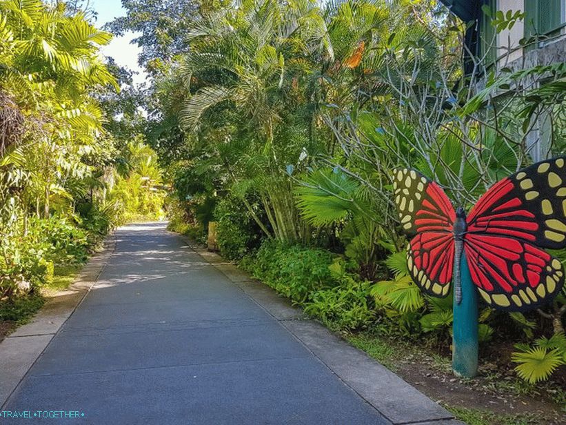 Botanická záhrada v Phukete - pre milovníkov rastlín a seba