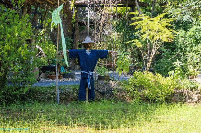 Botanická záhrada v Phukete - pre milovníkov rastlín a seba