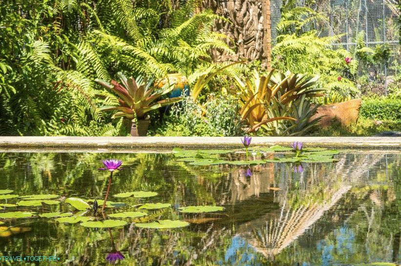 Botanická záhrada v Phukete - pre milovníkov rastlín a seba