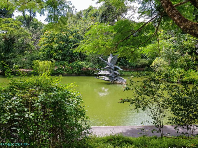 Botanická záhrada v Singapure - nechcete odísť