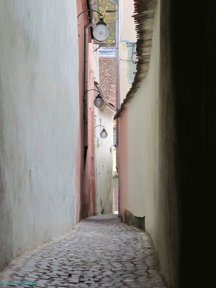 Street Sforii