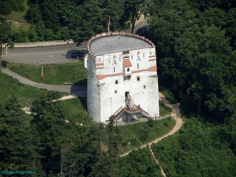 Biela