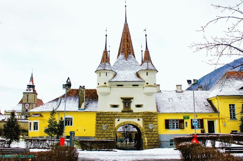 Catherine Gate