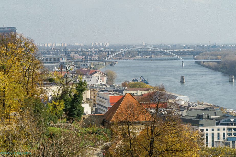 „Široký