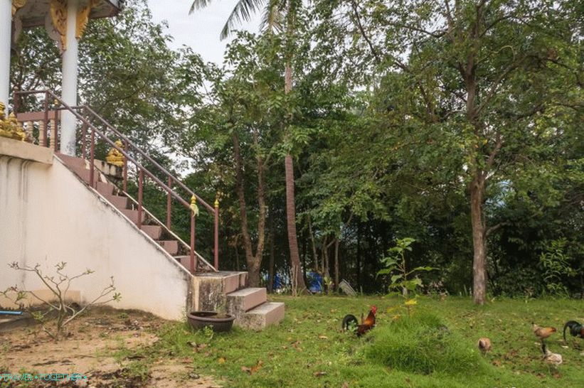 Buddhistický chrám Phu Kha Noi na Phangane - najstarší na ostrove