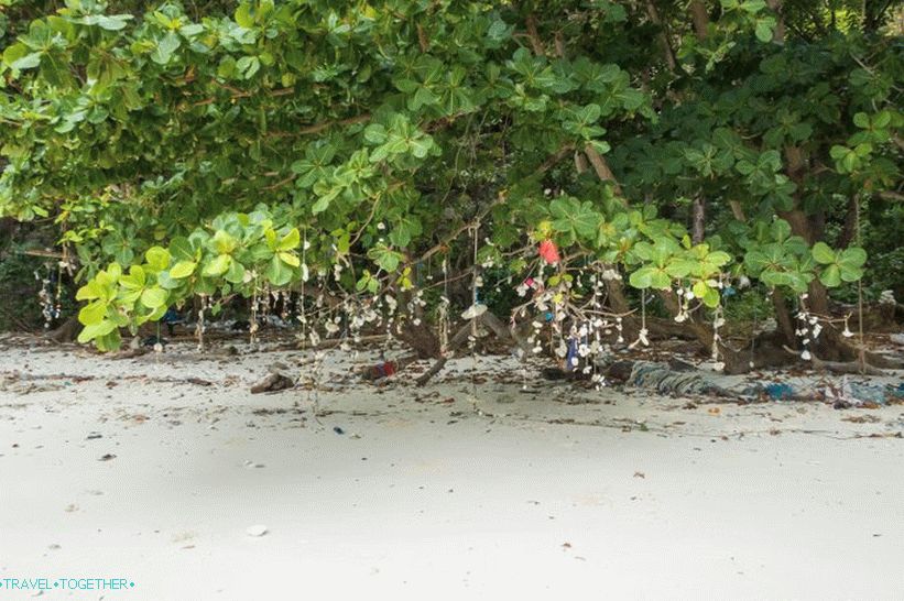 Bay Maya Bay na Phi Phi - celá pravda o pláži z filmu s Di Caprio