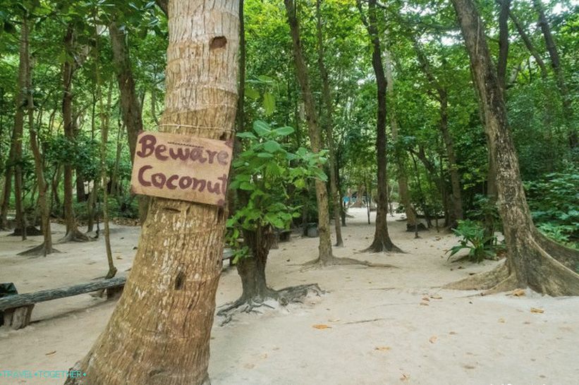 Bay Maya Bay na Phi Phi - celá pravda o pláži z filmu s Di Caprio