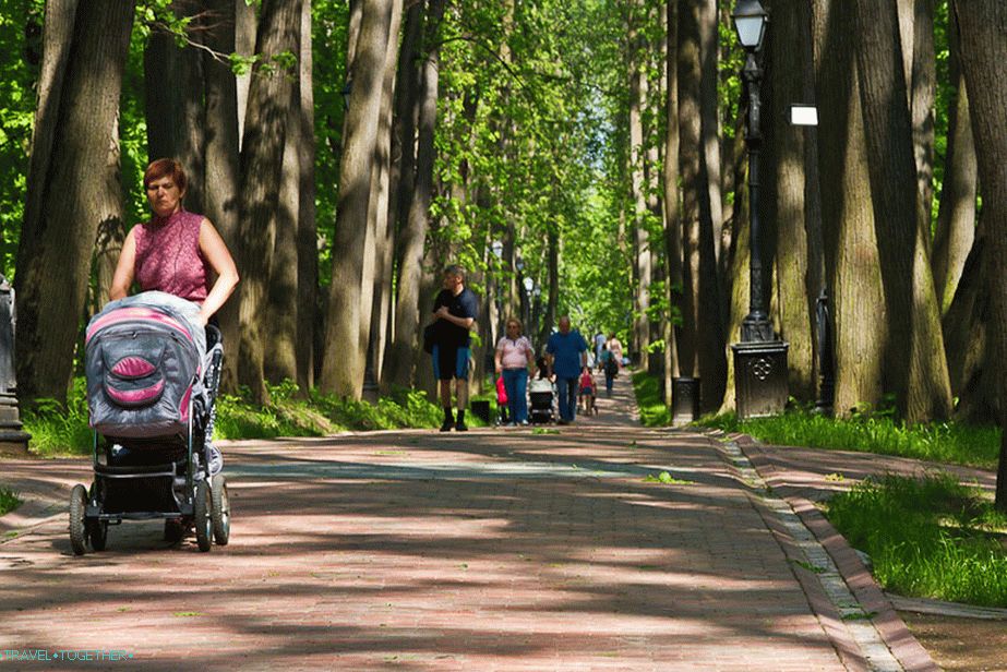 Tsaritsyn Alley