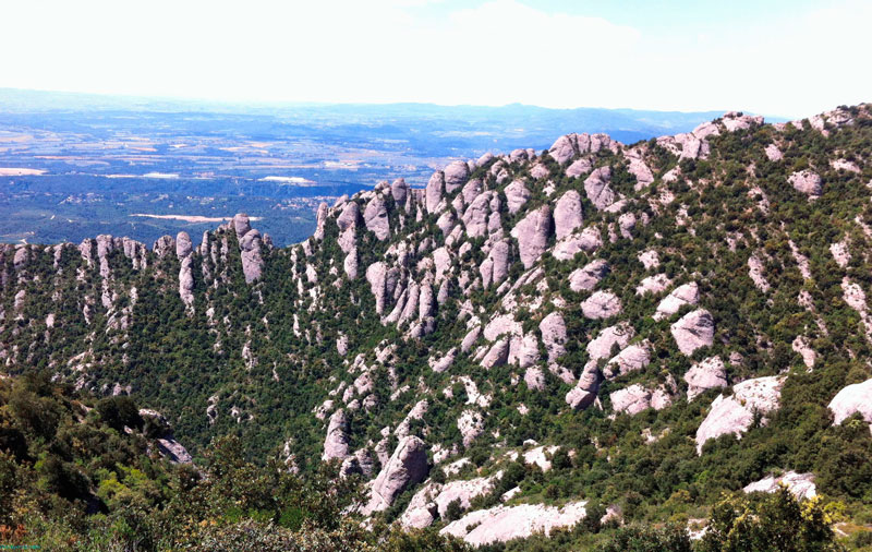 „Mount