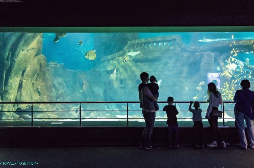 „Oceanarium