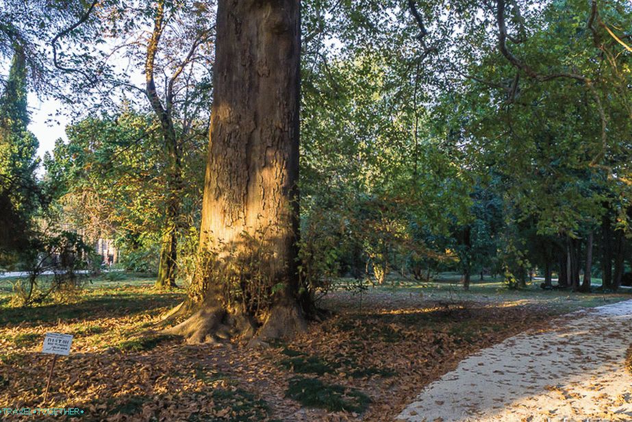 „Park