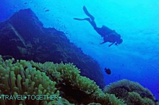 Potápanie na Samui, Koh Tao, Nang Yuan s ruským sprievodcom