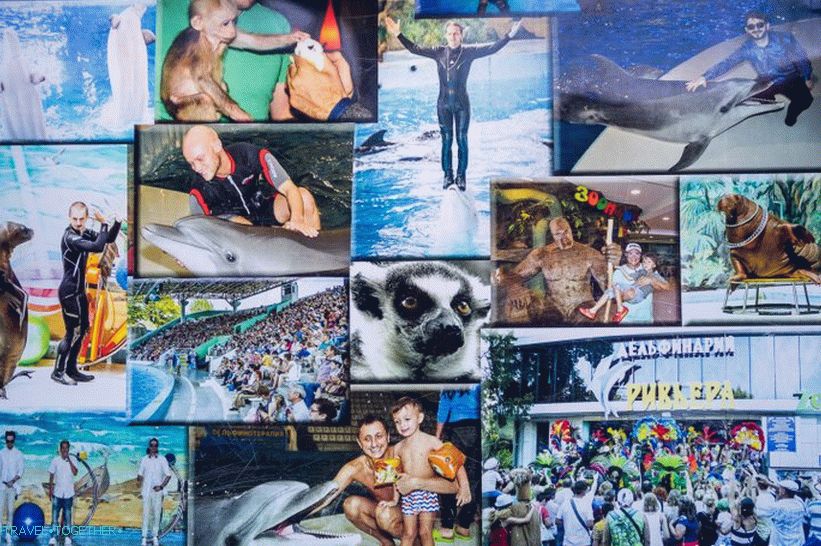 Dolphinarium Riviera v Soči - rodinná dovolenka s delfínmi