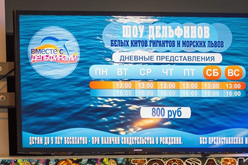 Dolphinarium Riviera v Soči - rodinná dovolenka s delfínmi