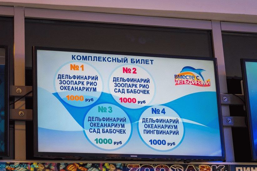 Dolphinarium Riviera v Soči - rodinná dovolenka s delfínmi