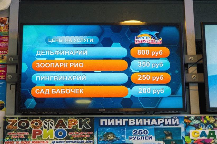 Dolphinarium Riviera v Soči - rodinná dovolenka s delfínmi