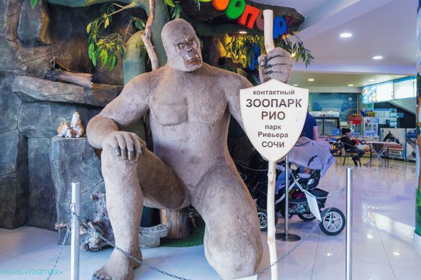 Dolphinarium Riviera v Soči - rodinná dovolenka s delfínmi