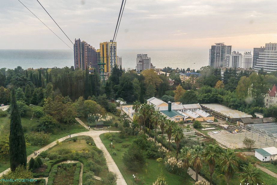 Dendrarij-Sochi-02