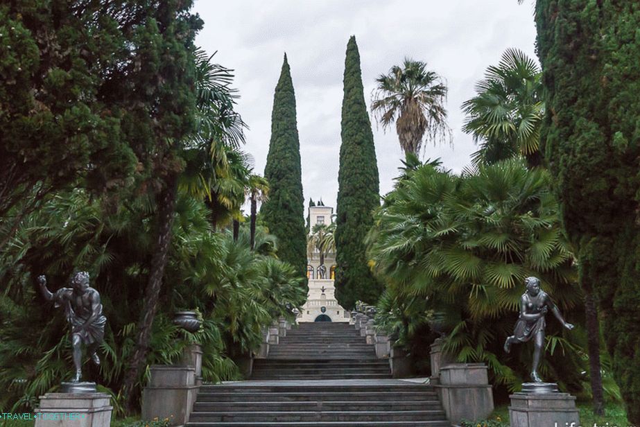 Dendrarij-Sochi-27