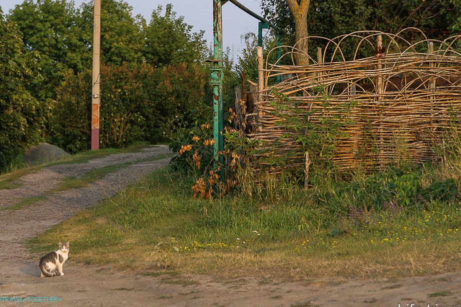 „Náčrt