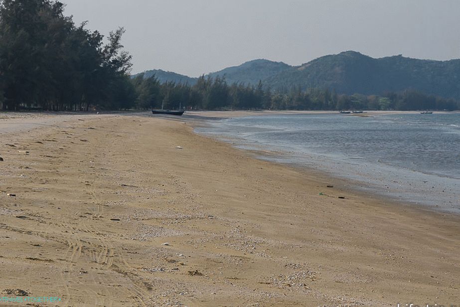 Pláž Dolphin Bay je orámovaná borovicami a palmami