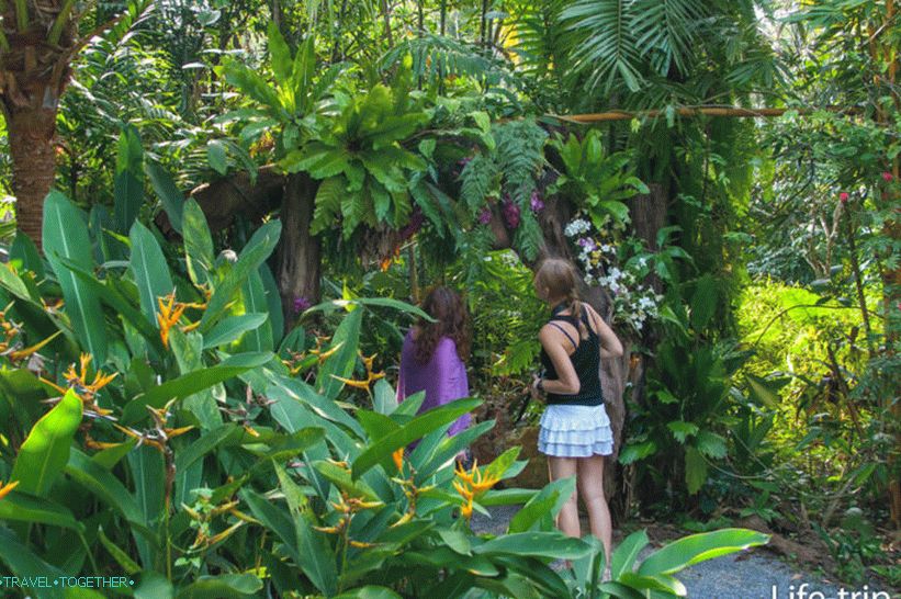 Dusit Dhewa - kultúrne stredisko na Koh Samui