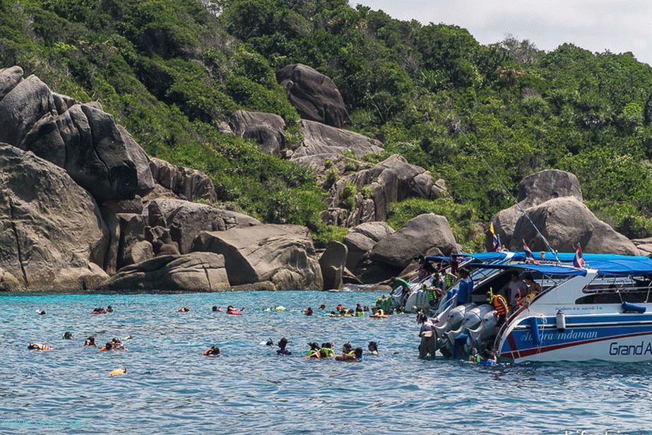 „Snorkel