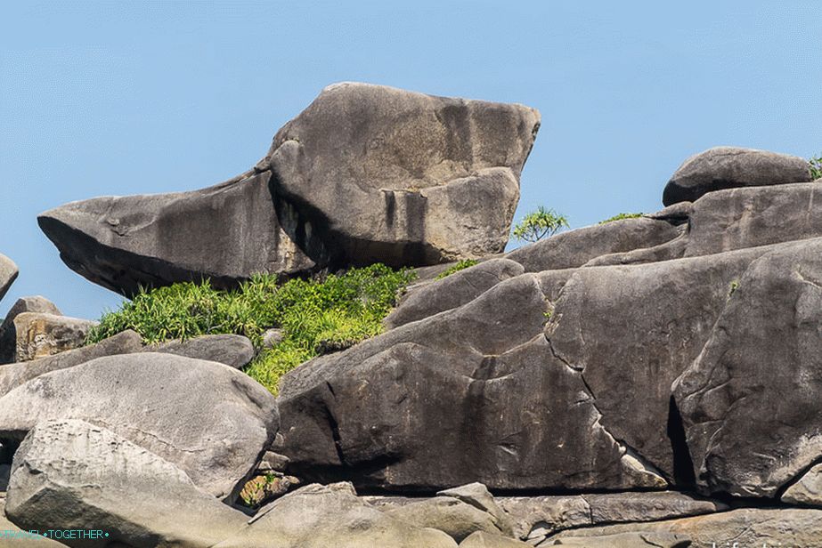 Menej známy Donald Duck Stone