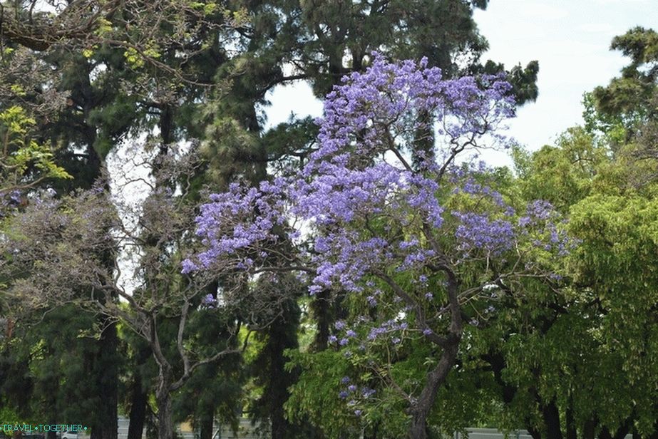 Argentina_16