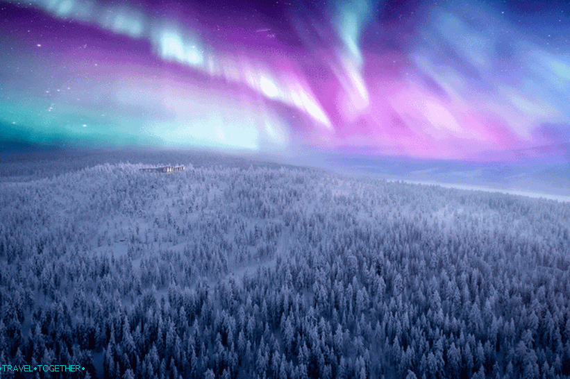 Northern Lights