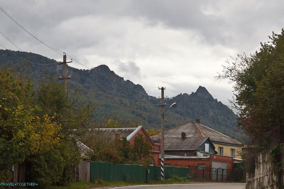 Village Turkey