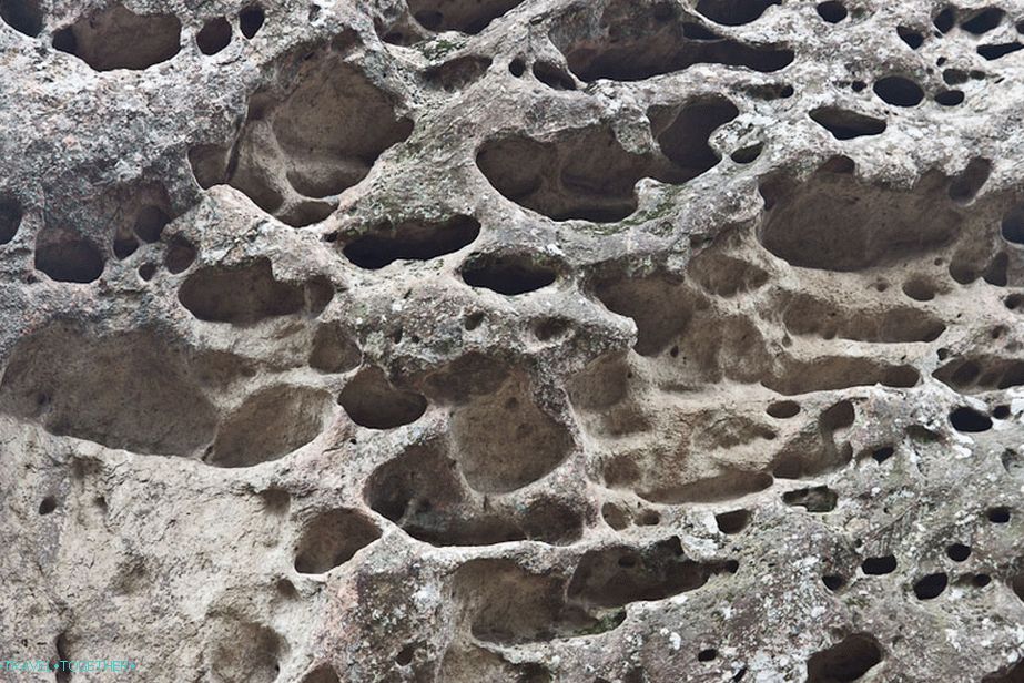 Rock Cheese