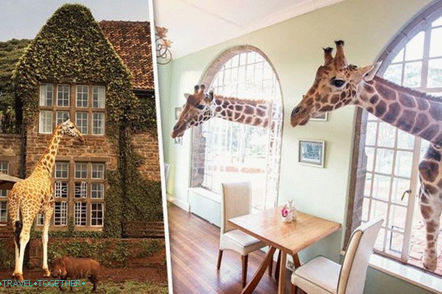 GIRAFFE zámočku