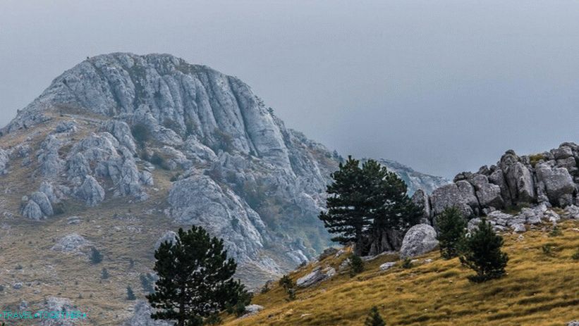Dinarská vysočina