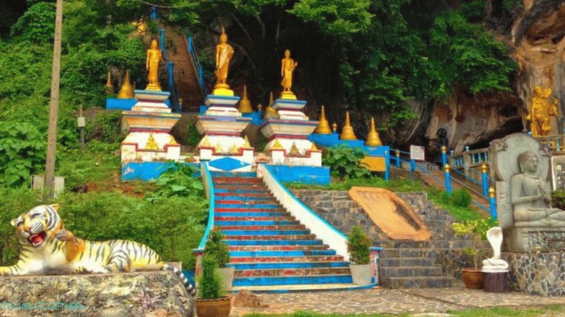 Tiger Temple v Krabi