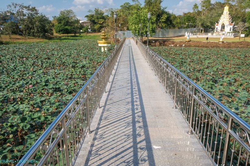 Most cez lotosový rybník