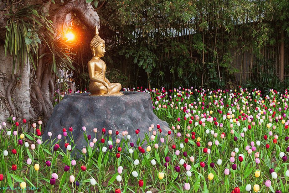 Buddha na záhrade obklopený umelými tulipánmi
