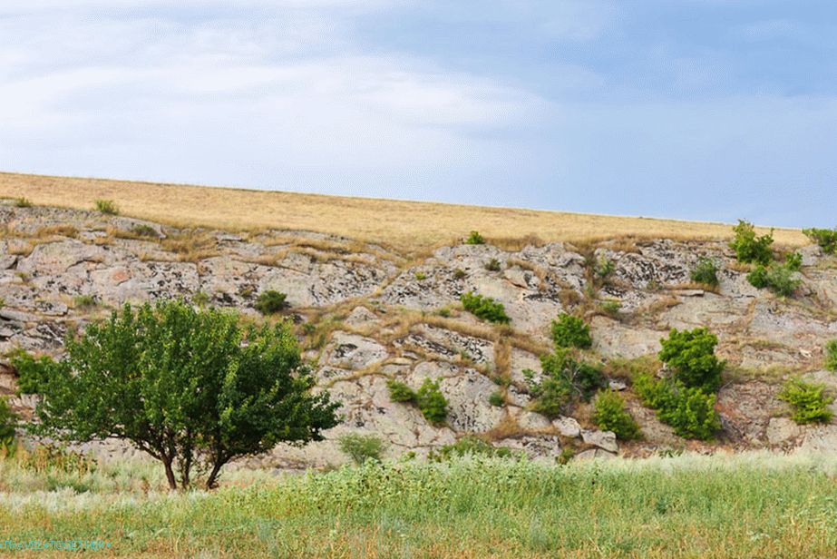 Pri farme Dyadin
