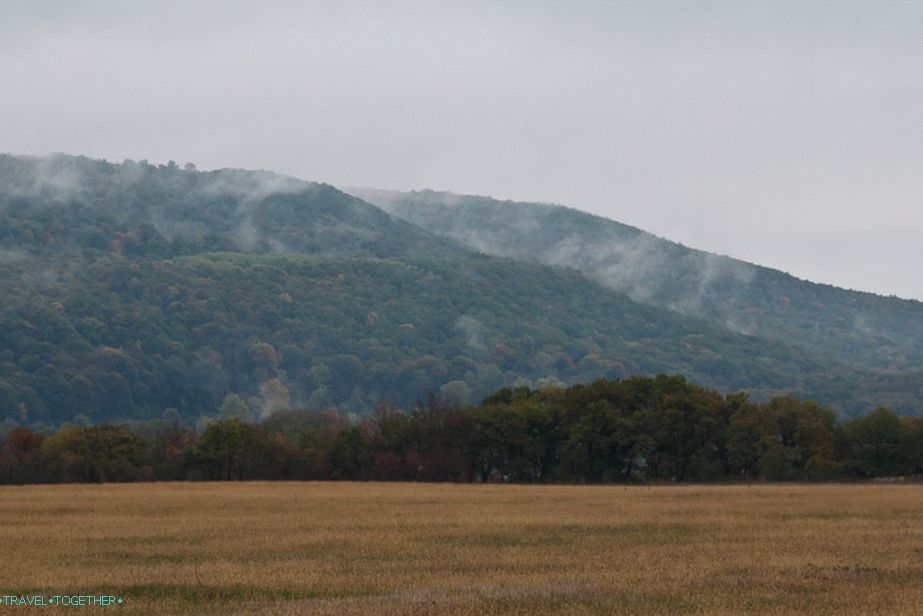 Pri vchode do hôr Adygea pokrytých hmlou