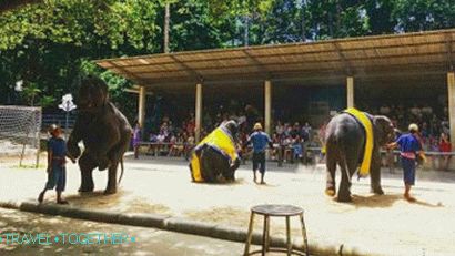 Slonia výstava v namuangskom safari parku na Samui
