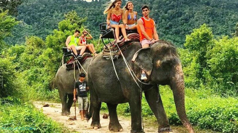 Jazda na slonoch v namuangskom safari parku na Samui