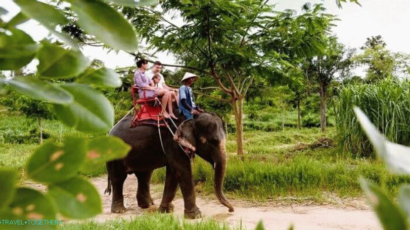 Jazda na slonoch v namuangskom safari parku na Samui